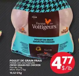Marché Bonichoix FERME DES VOLTIGEURS FRESH GRAIN-FED CHICKEN offer
