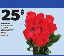 Provigo ECUADORIAN ROSES offer