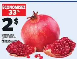 Provigo POMEGRANATE offer