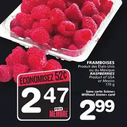 Marches Tradition RASPBERRIES offer