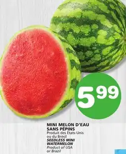Marches Tradition SEEDLESS MINI WATERMELON offer