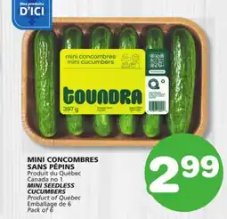 Marches Tradition MINI SEEDLESS CUCUMBERS offer