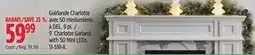 Canadian Tire CANVAS 9´ Charlotte Garland with 50 Mini LEDs offer