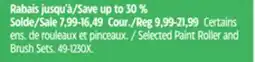 Canadian Tire Selected Paint Roller and Brush Sets offer