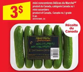 Maxi MINI CONCOMBRES DÉLICES DU MARCHÉMC | MINI CUCUMBERS, 6 un offer