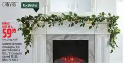 Canadian Tire Canvas 9´ Eucalyptus Garland offer