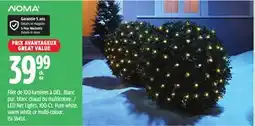 Canadian Tire NOMA LED Net Lights, 100-Ct offer