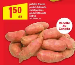 Maxi PATATES DOUCES | SWEET POTATOES offer