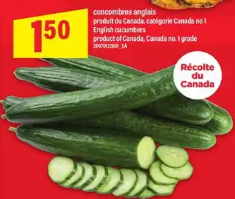 Maxi CONCOMBRES ANGLAIS offer