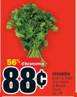 Super C CORIANDRE | CILANTRO offer