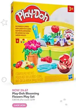 Toys R us Play-Doh Blooming Flowers Play Set offer