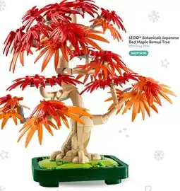 Toys R us LEGO Botanicals Japanese Red Maple Bonsai Tree offer