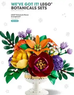 Toys R us LEGO Botanicals Flower Arrangement offer