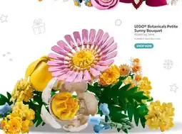 Toys R us LEGO Botanicals Petite Sunny Bouquet offer