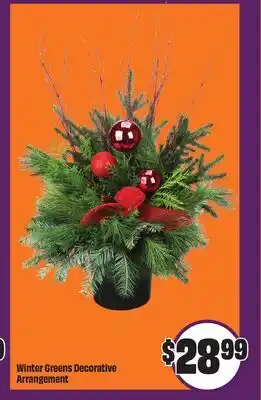 Chalo FreshCo Winter Greens Decorative Arrangement offer
