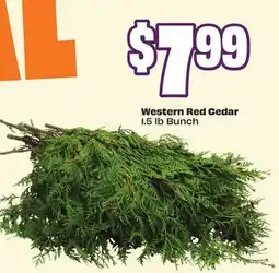 Chalo FreshCo Western Red Cedar 1.5 lb Bunch offer