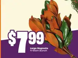 Chalo FreshCo Large Magnolia 4-Stem Bunch offer