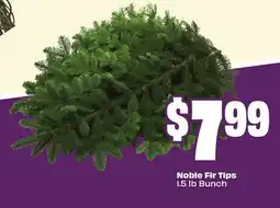 Chalo FreshCo Noble Fir Tips 1.5 lb Bunch offer