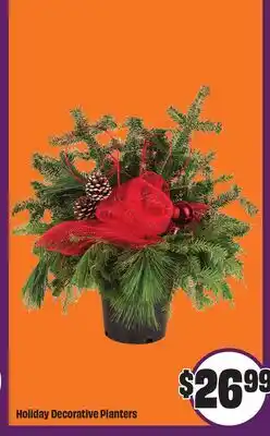 Chalo FreshCo Holiday Decorative Planters offer