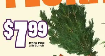 Chalo FreshCo White Pine 2 lb Bunch offer