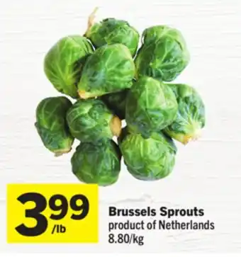 Foodland Brussels Sprouts offer