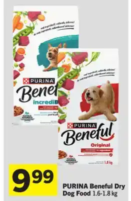 Foodland PURINA Beneful Dry Dog Food offer