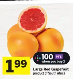Foodland Large Red Grapefruit offer