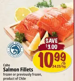 Farm Boy Coho Salmon Fillets offer