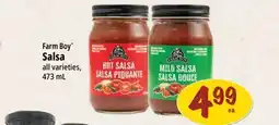 Farm Boy Farm Boy Salsa offer