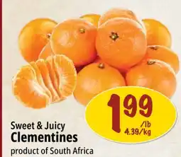 Farm Boy Sweet & Juicy Clementines offer