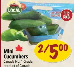 Farm Boy Mini Cucumbers offer