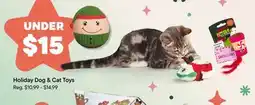 Petvalu Holidays Dog & cat Toys offer