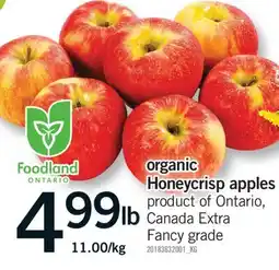 Fortinos ORGANIC HONEYCRISP APPLES offer