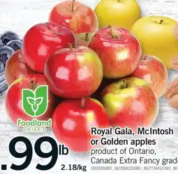 Fortinos ROYAL GALA, MCINTOSH OR GOLDEN APPLES offer