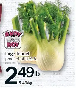 Fortinos LARGE FENNEL offer
