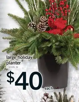 Fortinos LARGE HOLIDAY PLANTER offer