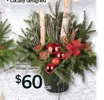 Fortinos PREMIUM HOLIDAY PLANTER offer