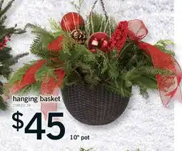 Fortinos HANGING BASKET, 10 pot offer