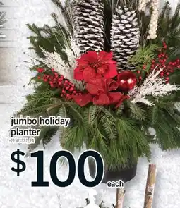 Fortinos JUMBO HOLIDAY PLANTER offer