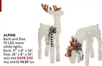 Home Hardware Buck and Doe 70 LED warm white lights offer