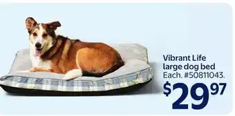 Walmart Vibrant Life large dog bed offer