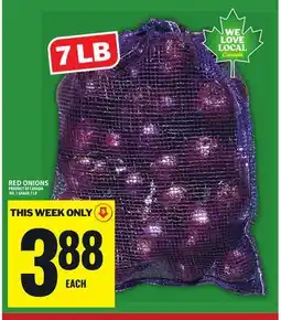 Food Basics RED ONIONS offer