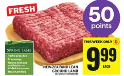 Food Basics NEW ZEALAND LEAN GROUND LAMB offer