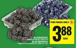 Food Basics BLUEBERRIES OR BLACKBERRIES offer
