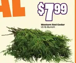 FreshCo Wester Red Cedar 1.5 lb Bunch offer