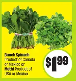 FreshCo Bunch Spinach Product of Canada or Mexico or Methi Product of USA or Mexico offer