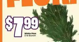 FreshCo White Pine 2 lb Bunch offer