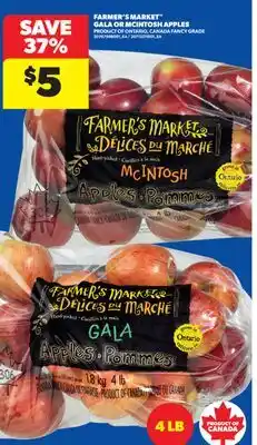 Real Canadian Superstore FARMER'S MARKET GALA OR MCINTOSH APPLES, 4 LB offer