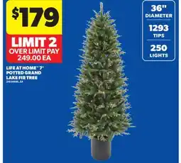Real Canadian Superstore LIFE AT HOME 7' POTTED GRAND LAKE FIR TREE offer