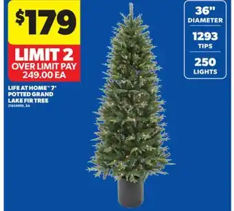 Real Canadian Superstore LIFE AT HOME 7' POTTED GRAND LAKE FIR TREE offer
